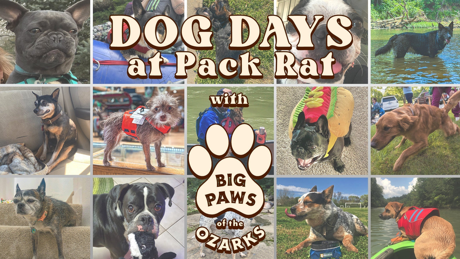 Dog Days with Big Paws of the Ozarks - September 12