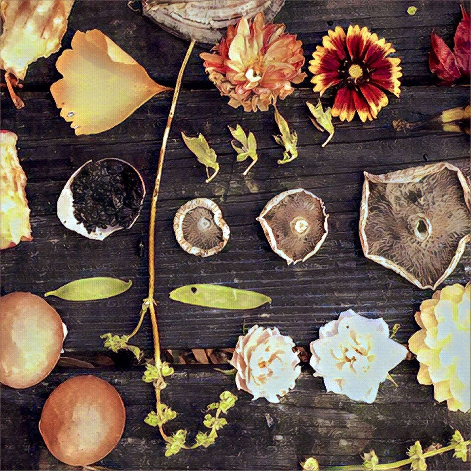 Sustainable Materials Diversion