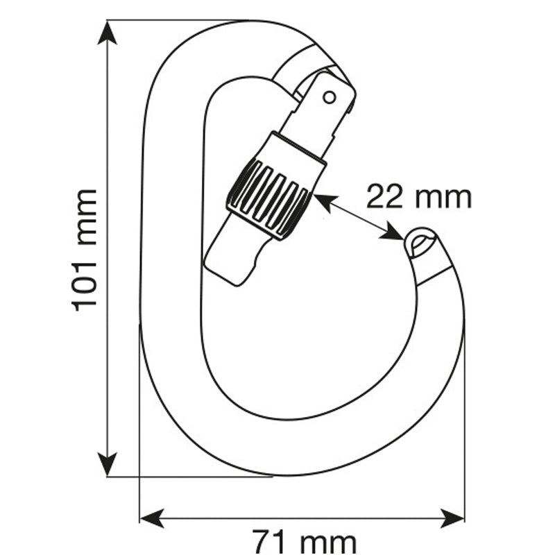 Nimbus Locking Carabiner