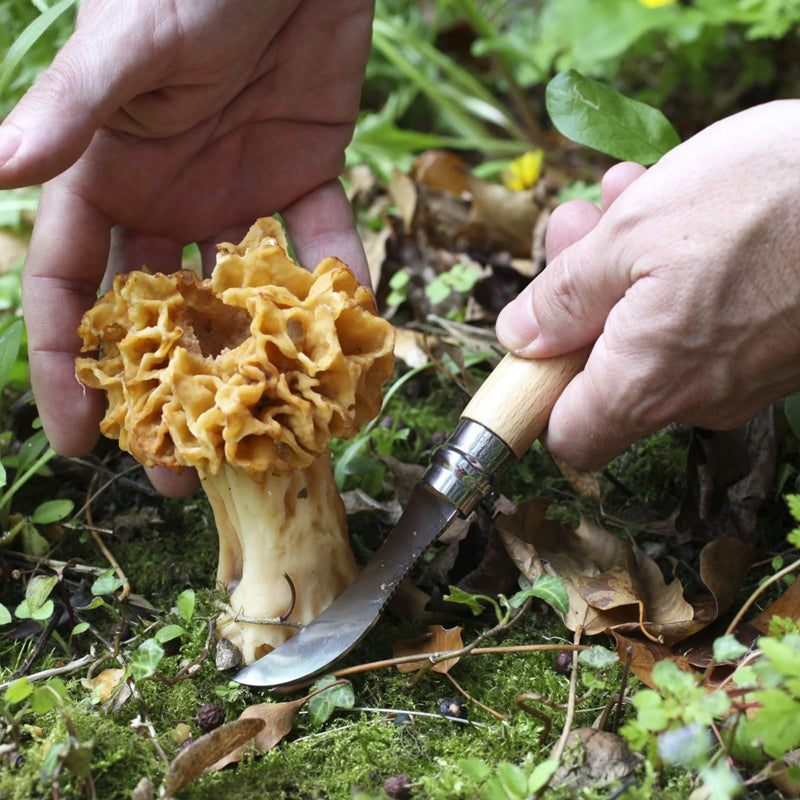 No.08 Stainless Steel Mushroom Knife