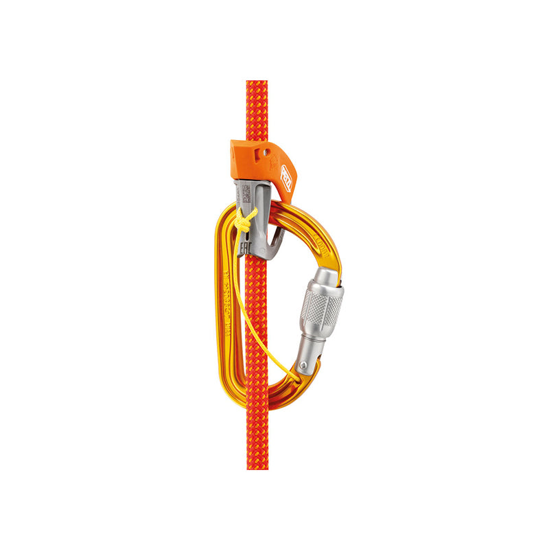 SM&#39;D Screw Lock Carabiner