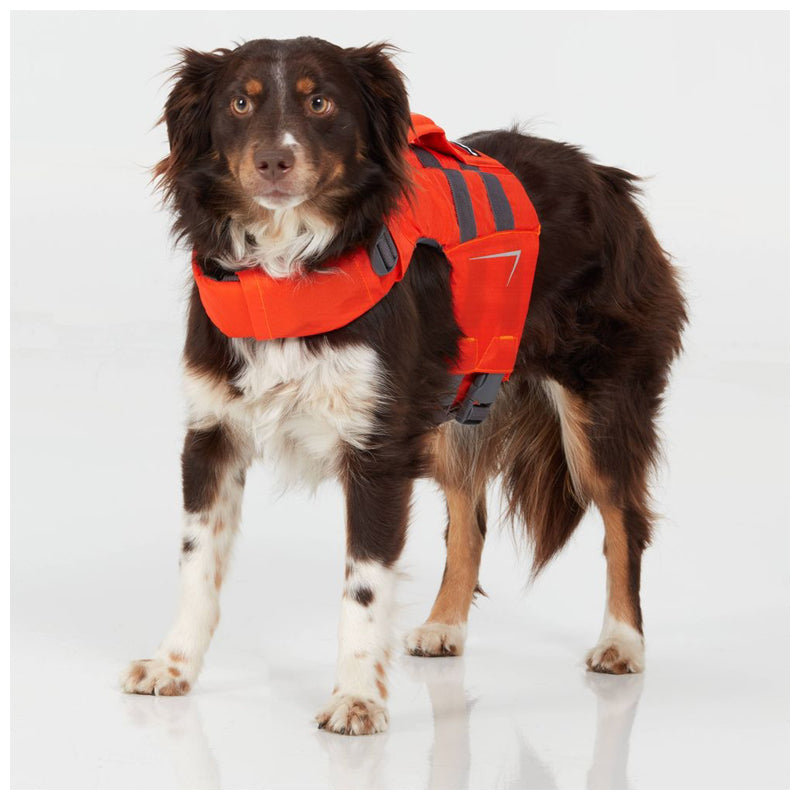 Harnesses Backpacks Life Vests Pack Rat Outdoor Center